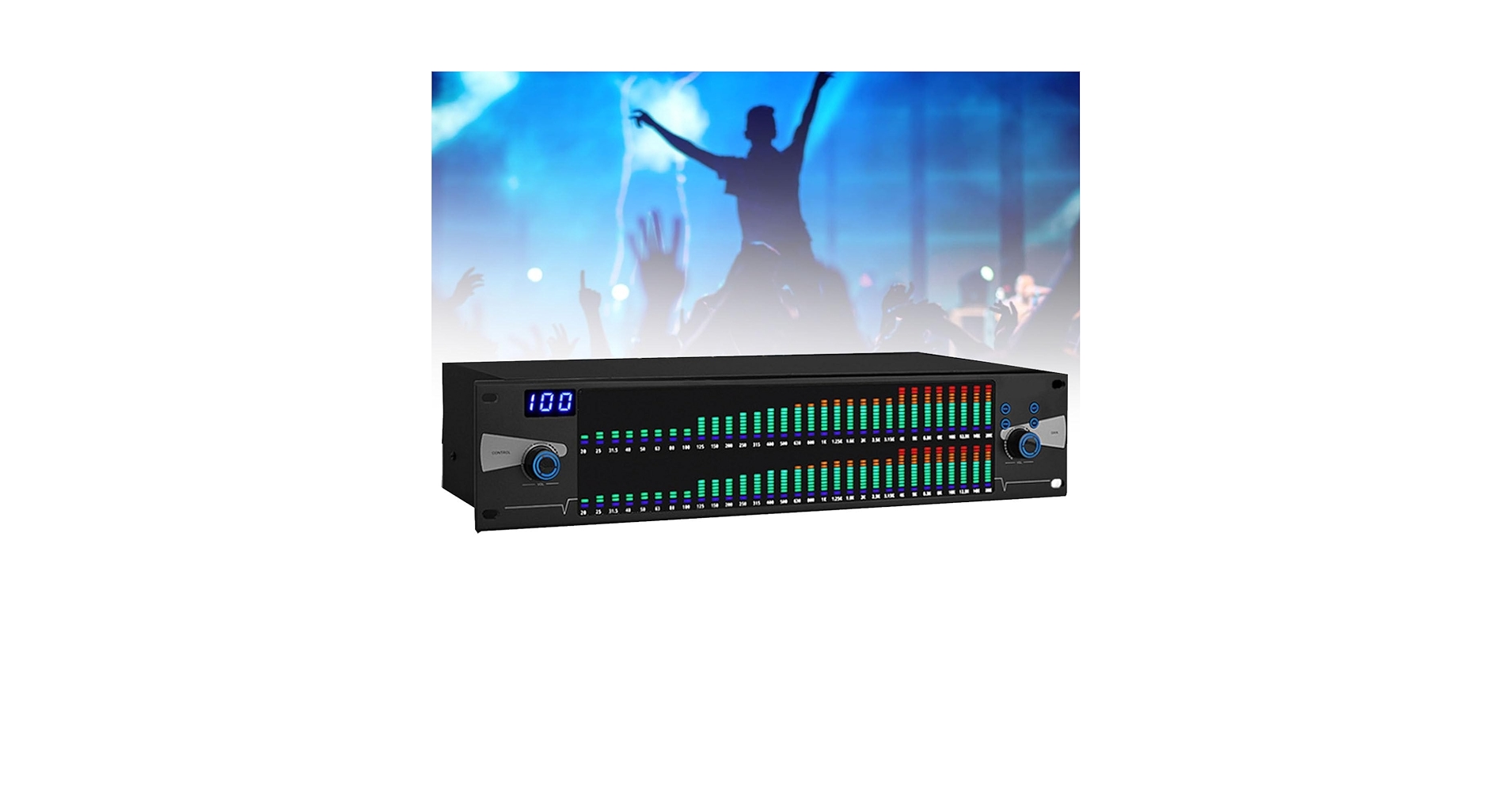 Dwukanałowy korektor cyfrowy, 31-pasmowy korektor graficzny